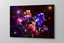 Obraz Kvetinové trblietky Gladiol zs1247